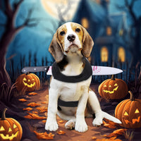 Halloween Knife Illusion Pet Costume