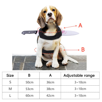 Halloween Knife Illusion Pet Costume
