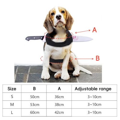 Halloween Knife Illusion Pet Costume