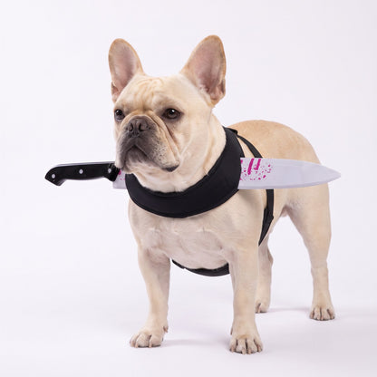 French bulldog wearing the knife costume harness, standing